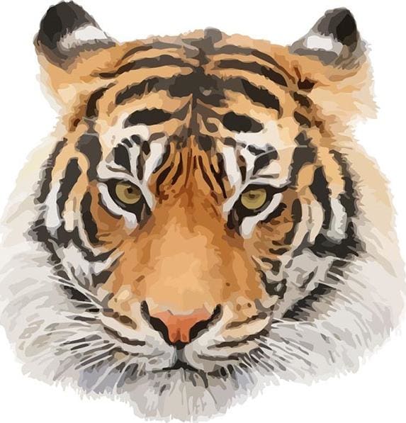 Pintar Por Números - Cabeza De Tigre - Figuredart - Animales Tigres