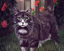 Cargar imagen en el visor de la galería, Pintar Por Números - Cártamo Gato Negro - Figuredart - Animales Gatos
