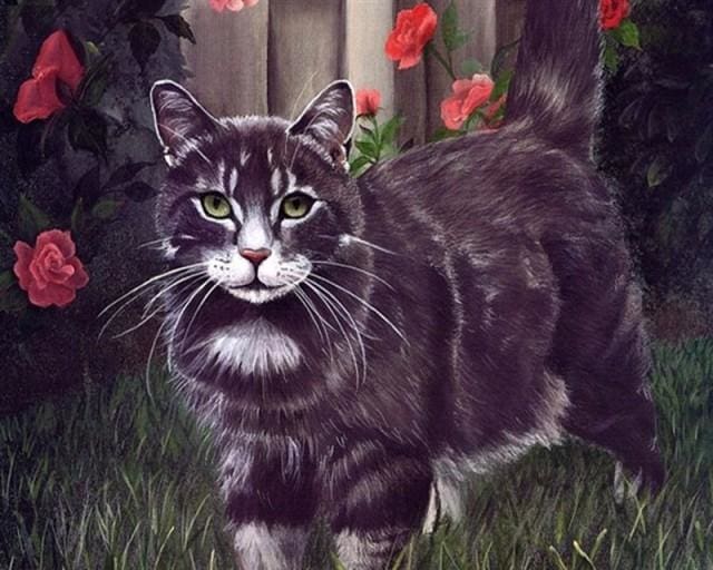 Pintar Por Números - Cártamo Gato Negro - Figuredart - Animales Gatos