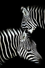 Cargar imagen en el visor de la galería, Pintar Por Números - Cebra Blanco Y Negro - Figuredart - Animales