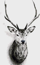 Cargar imagen en el visor de la galería, Pintar Por Números - Ciervo En Blanco Y Negro - Figuredart - Animales