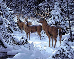 Pintar Por Números - Ciervosa De La Nieve - Figuredart - Animales