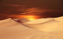 Cargar imagen en el visor de la galería, Pintar Por Números - Crepúsculo En El Desierto - Figuredart - Paisajes
