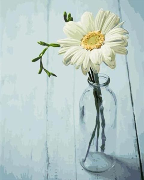 Pintar Por Números - Crisantemo Blanco 1 - Figuredart - Flores