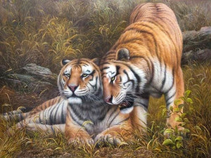 Pintar Por Números - Después De Tiger Wang Hu - Figuredart - Animales