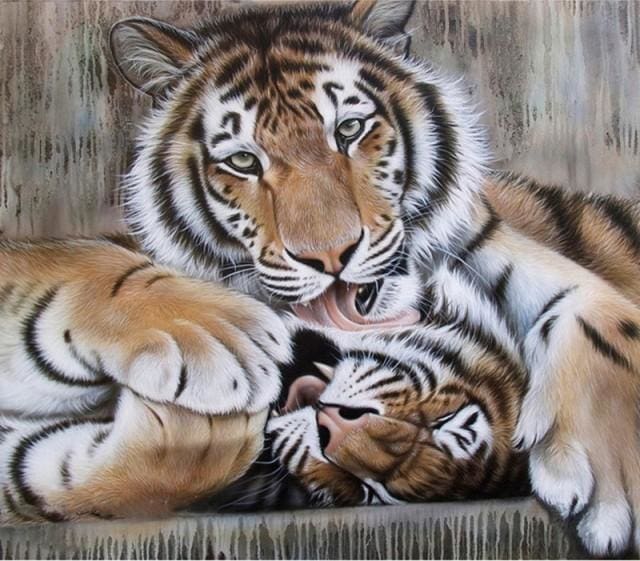 Pintar Por Números - Dos Cabezas De Tigre - Figuredart - Animales Tigres