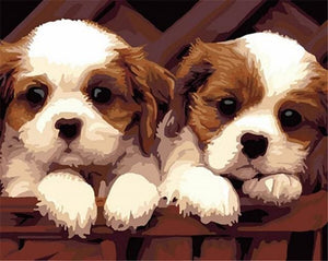 Pintar Por Números - Dos Cachorros - Figuredart - Animales