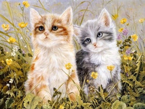 Pintar Por Números - Dos Gatitos - Figuredart - Animales
