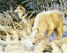 Cargar imagen en el visor de la galería, Pintar Por Números - Dos Lobo De Color Amarillo - Figuredart - Animales Lobos