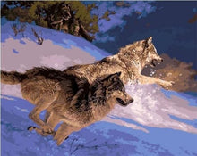Cargar imagen en el visor de la galería, Pintar Por Números - Dos Lobos Impacto - Figuredart - Animales Lobos