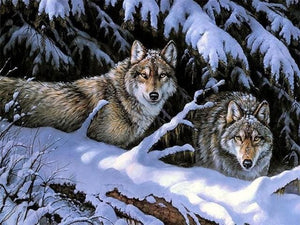 Pintar Por Números - Dos Lobos - Figuredart - Animales Lobos