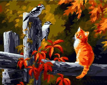 Cargar imagen en el visor de la galería, Pintar Por Números - Dos Pájaros Y Gatos - Figuredart - Animales Gatos Pájaros