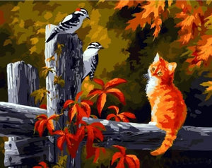 Pintar Por Números - Dos Pájaros Y Gatos - Figuredart - Animales Gatos Pájaros