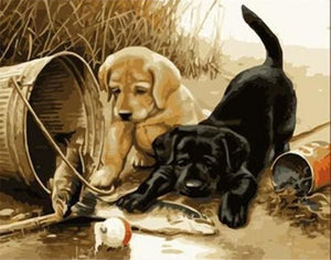 Pintar Por Números - Dos Perros 1 - Figuredart - Animales Perros