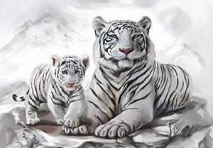 Pintar Por Números - Dos Tigres Blancos - Figuredart - Animales Tigres