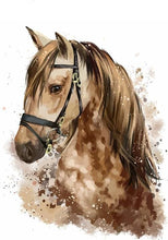 Cargar imagen en el visor de la galería, Pintar Por Números - El Caballo De Brown - Figuredart - Animales Caballos