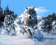 Cargar imagen en el visor de la galería, Pintar Por Números - El Funcionamiento De Tres Lobos - Figuredart - Animales Lobos
