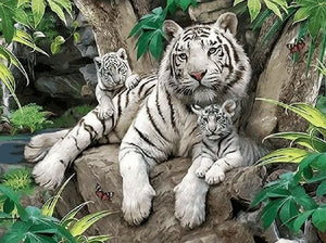Pintar Por Números - El Tamaño Del Tigre Blanco - Figuredart - Animales Tigres