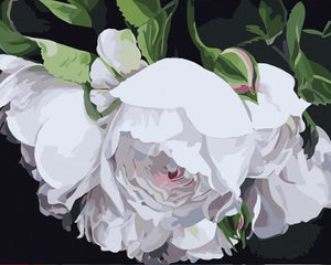 Pintar Por Números - Flores Blancas 2 - Figuredart - Flores