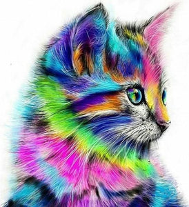 Pintar Por Números - Gato Colorido - Figuredart - Animales Gatos Pop Art