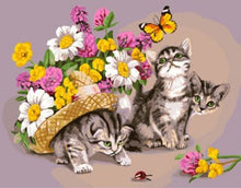 Cargar imagen en el visor de la galería, Pintar Por Números - Gato Con Mariposa - Figuredart - Animales Flores Gatos Mariposas