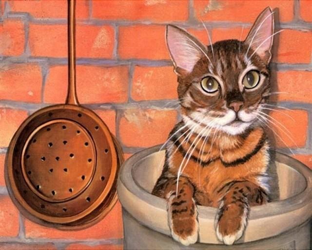 Pintar Por Números - Gato Contra La Pared - Figuredart - Animales Gatos