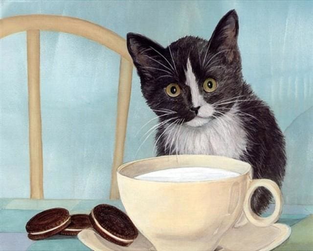 Pintar Por Números - Gato Desayuno - Figuredart - Animales Gatos