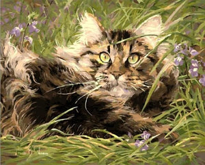 Pintar Por Números - Gato En La Hierba - Figuredart - Animales Gatos