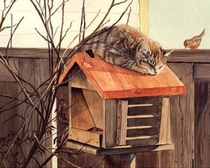 Pintar Por Números - Gato En Un Buzón - Figuredart - Animales Gatos