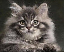 Cargar imagen en el visor de la galería, Pintar Por Números - Gato Pequeño - Figuredart - Animales Gatos