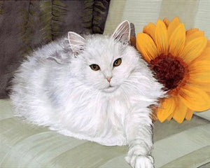 Pintar Por Números - Girasol Blanco Del Gato - Figuredart - Animales Gatos