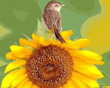 Cargar imagen en el visor de la galería, Pintar Por Números - Girasol Con Pájaro - Figuredart - Animales Flores Pájaros