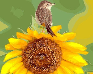 Pintar Por Números - Girasol Con Pájaro - Figuredart - Animales Flores Pájaros