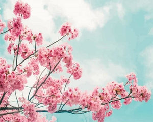 Pintar Por Números - Hermoso Cerezo - Figuredart - Flores Novedades