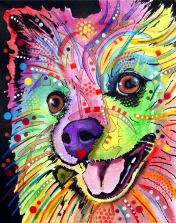 Pintar Por Números - Hermoso Perro - Figuredart - Animales Perros