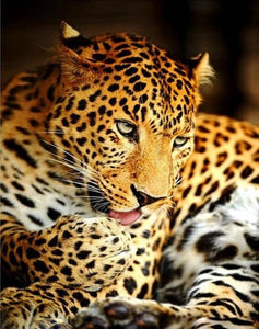 Pintar Por Números - Leopardo Flor - Figuredart - Animales