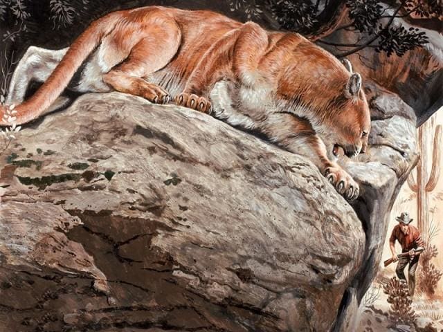Pintar Por Números - Leopardo Marrón - Figuredart - Animales