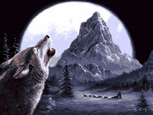Cargar imagen en el visor de la galería, Pintar Por Números - Lobo Aullando Al Cielo - Figuredart - Animales Lobos