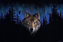 Cargar imagen en el visor de la galería, Pintar Por Números - Lobo De Noche - Figuredart - Animales Lobos