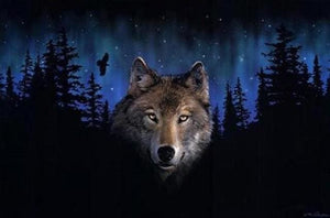 Pintar Por Números - Lobo De Noche - Figuredart - Animales Lobos