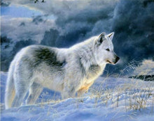 Cargar imagen en el visor de la galería, Pintar Por Números - Lobo Solitario De La Nieva - Figuredart - Animales Lobos