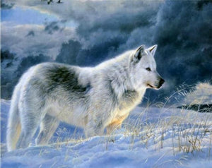 Pintar Por Números - Lobo Solitario De La Nieva - Figuredart - Animales Lobos