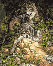 Cargar imagen en el visor de la galería, Pintar Por Números - Lobos 1 - Figuredart - Animales Lobos