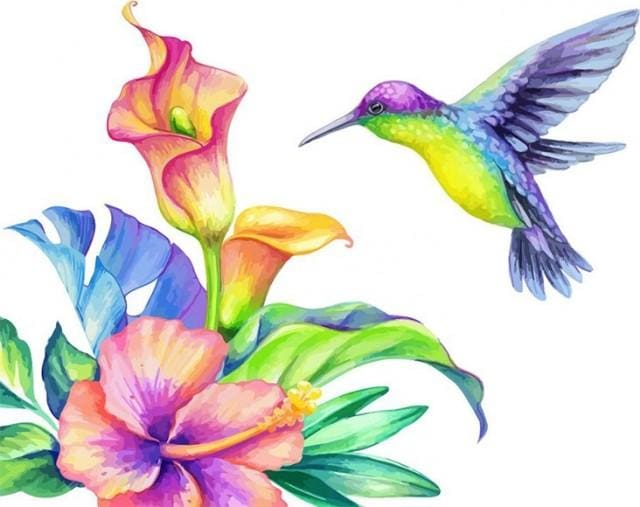 Pintar Por Números - Longirostravis De Color - Figuredart - Animales Flores