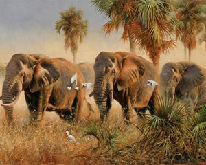Pintar Por Números - Los Elefantes Salvajes - Figuredart - Animales Elefantes