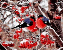 Cargar imagen en el visor de la galería, Pintar Por Números - Manglar Pájaros - Figuredart - Animales Pájaros