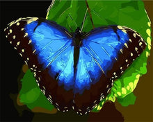 Cargar imagen en el visor de la galería, Pintar Por Números - Mariposa Azul - Figuredart - Animales Mariposas