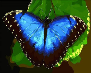 Pintar Por Números - Mariposa Azul - Figuredart - Animales Mariposas
