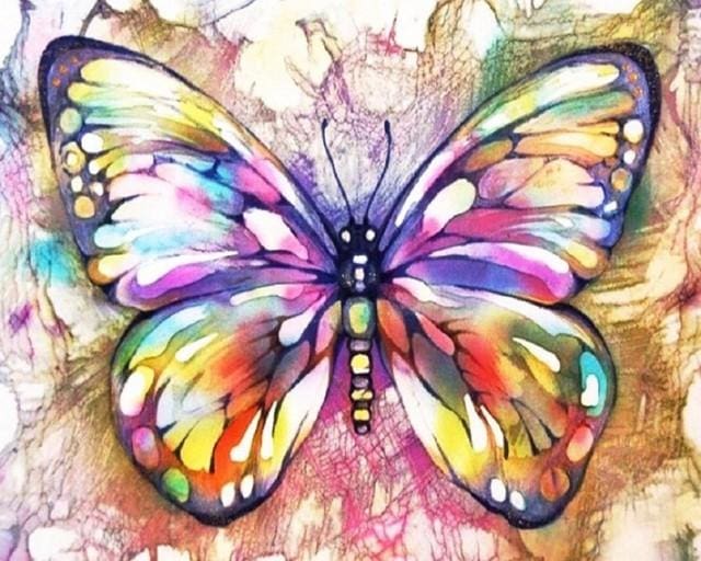 Pintar Por Números - Mariposa Colorida 1 - Figuredart - Animales Mariposas