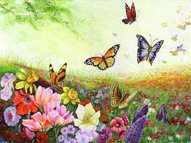 Pintar Por Números - Mariposa - Figuredart - Animales Flores Mariposas
